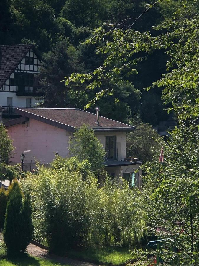 Ferienhaus Waldbaden Im Nationalpark Eifel- Am Bach Schleiden Exteriér fotografie