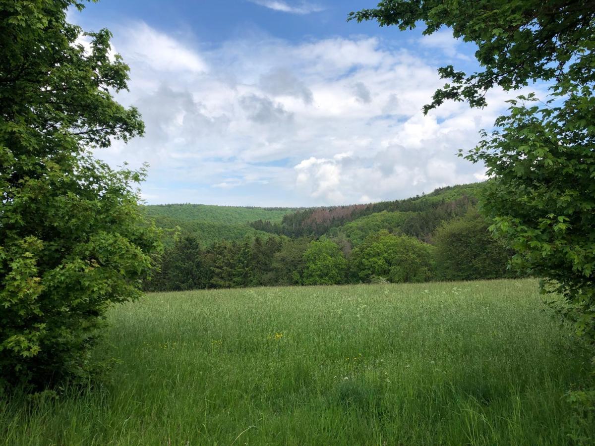 Ferienhaus Waldbaden Im Nationalpark Eifel- Am Bach Schleiden Exteriér fotografie