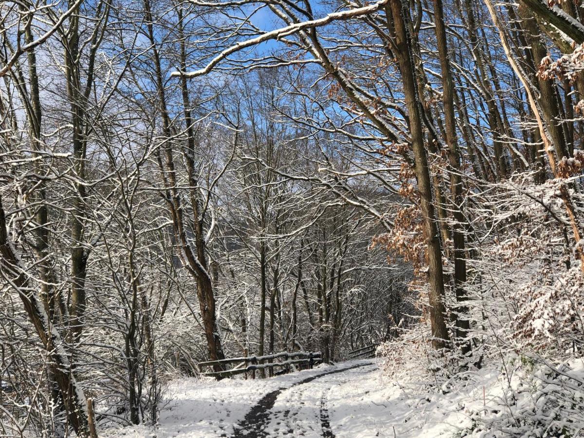 Ferienhaus Waldbaden Im Nationalpark Eifel- Am Bach Schleiden Exteriér fotografie