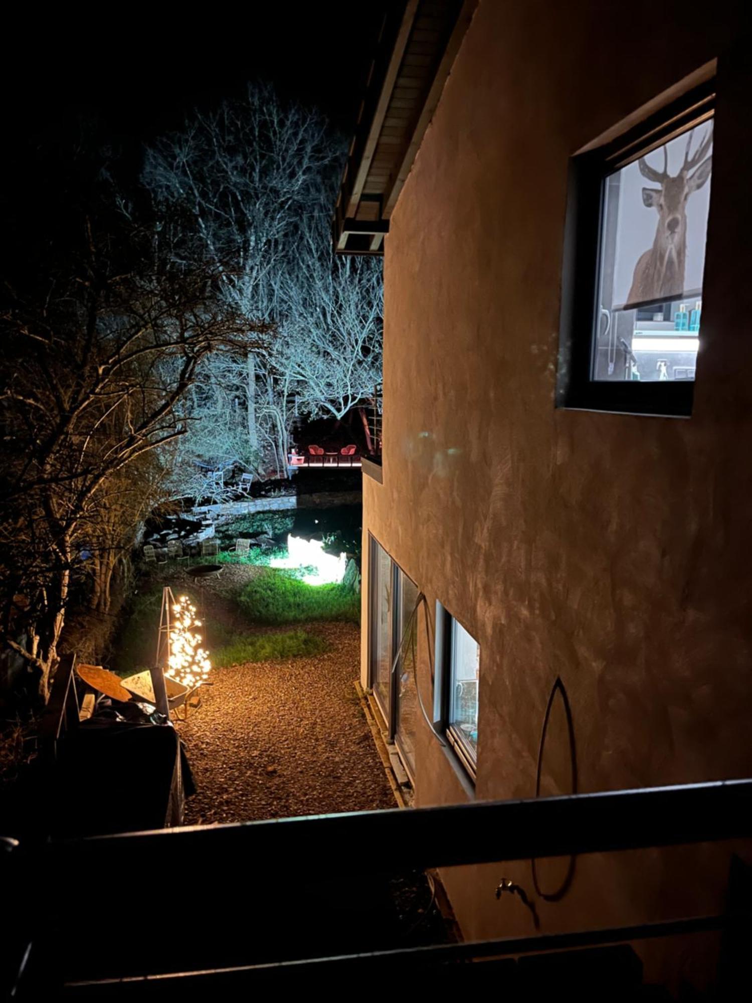 Ferienhaus Waldbaden Im Nationalpark Eifel- Am Bach Schleiden Exteriér fotografie